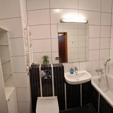 Alex Свиноуйсьце